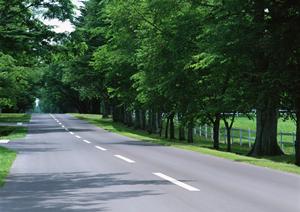 奈良の専門店で洗車とカーコーティング