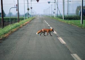 関西の免許合宿で充実した学習体験