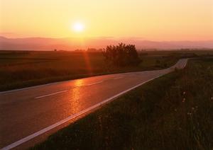車検即日対応はどれがお得なのか