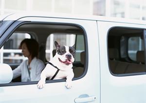 2025年最新版：カバーライトの効果と選び方を徹底解説！